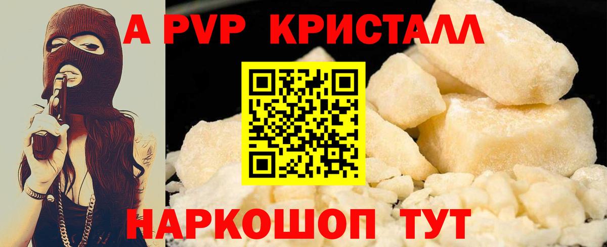 Альфа ПВП СК Балтийск