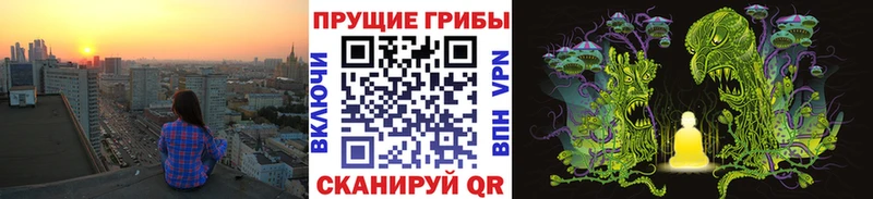 Псилоцибиновые грибы мухоморы  наркота  Балтийск 