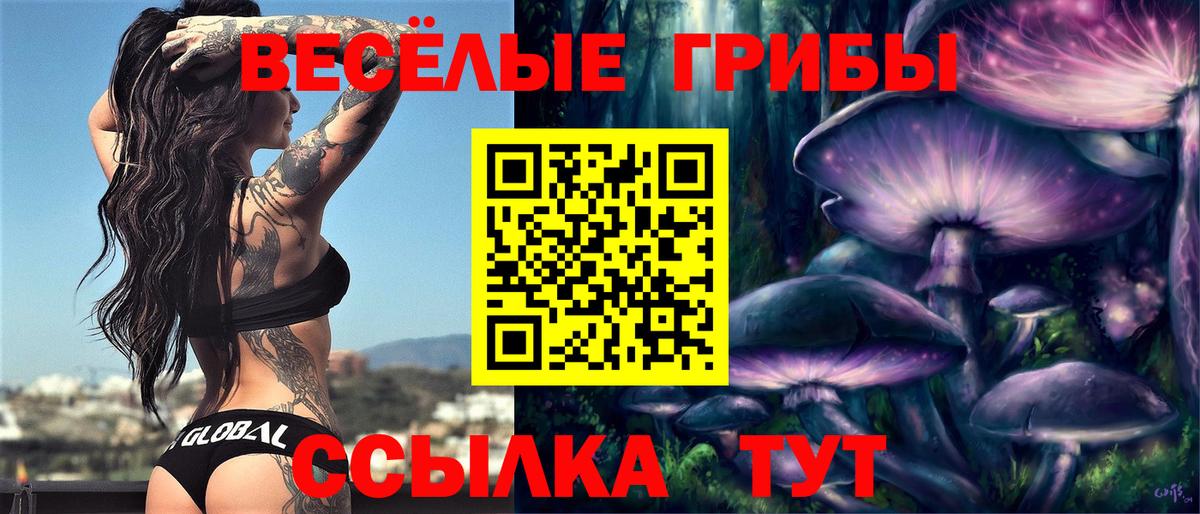 Балтийск  Галлюциногенные грибы прущие грибы  Вход с VPN 