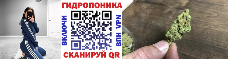 блэк спрут онион  Балтийск  Бошки Шишки Bruce Banner 