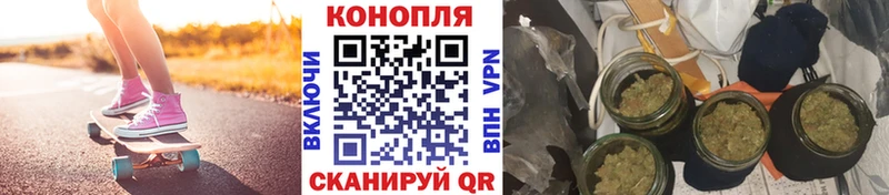Шишки марихуана сатива Балтийск